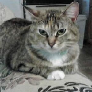 Meet your Posher, Susan